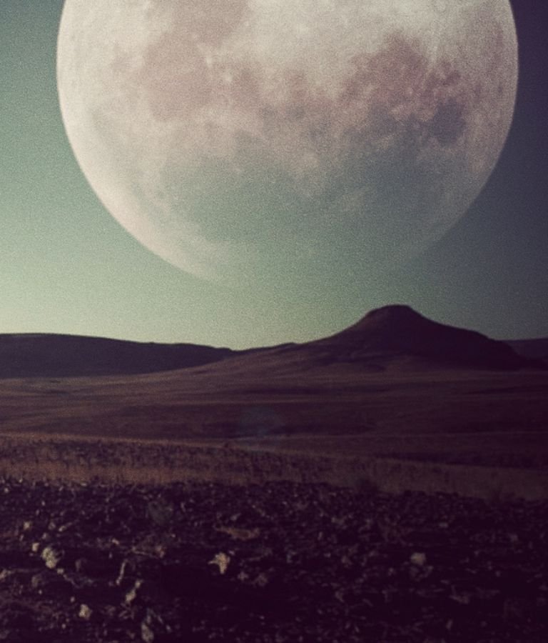 LE DERNIER VOYAGE - Image du film