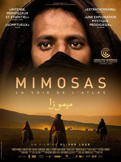 MIMOSAS - LA VOIE DE L'ATLAS - Affiche